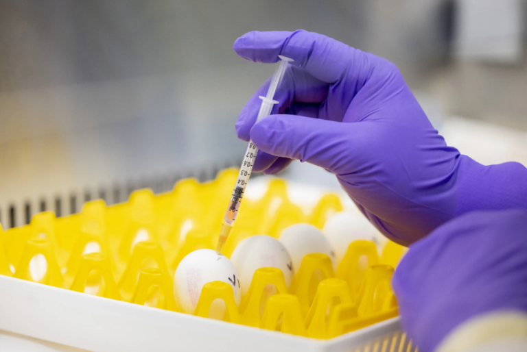 Moderna Begins Late-Stage Bird Flu Vaccine Trial in U.S. and U.K.