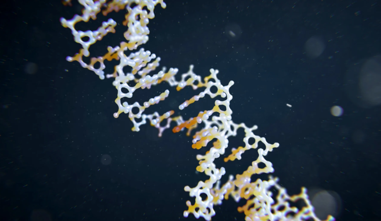 Intellia Jumps After Gene-Editing Therapy Succeeds in Pivotal Trial for Rare Swelling Disorder 