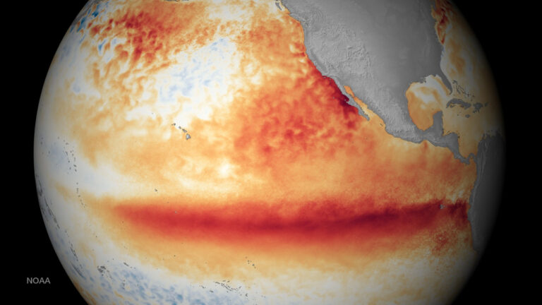 Odds Rise for Strongest El Niño in a Century as Climate Experts Fear Worldwide Disruption