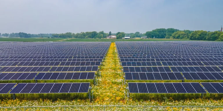Farmers Face New Solar Limits as Congress Moves to Protect Cropland From Renewable Development