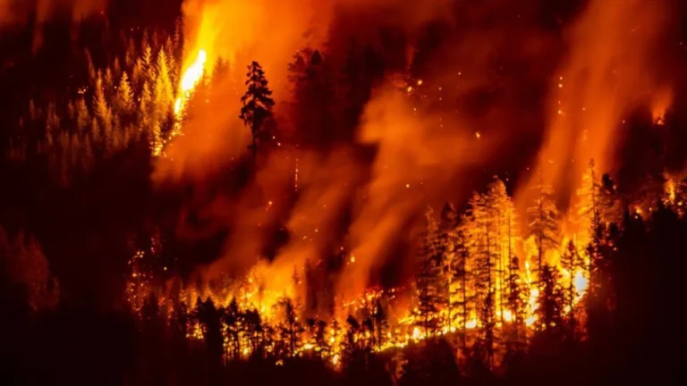 Wildfire Smoke Is Reversing Years of U.S. Progress on Cleaner Air