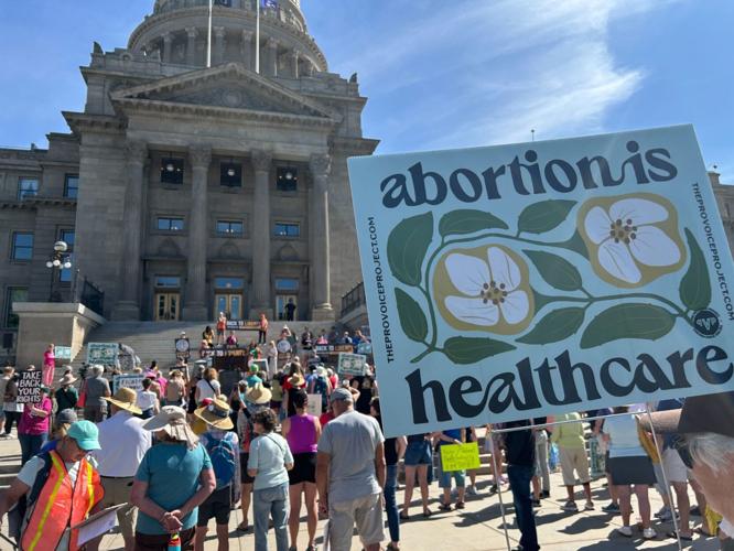 Idaho’s Abortion Rights Battle Reaches the Courts as Conservative Groups Challenge Election Advertising 